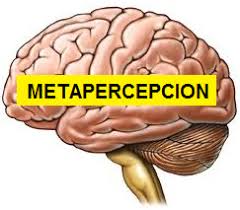 metapercepcion.com